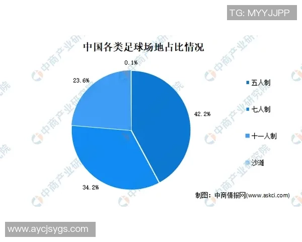 足球明星卡市场价值分析及其未来趋势探讨
