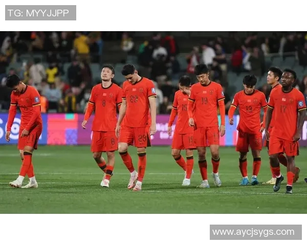 中国足球新星崛起：年轻球员如何带领国家队冲击世界杯荣耀