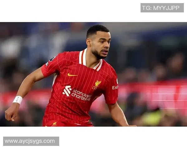 2025年全球最帅足球明星排行榜前十名全解析