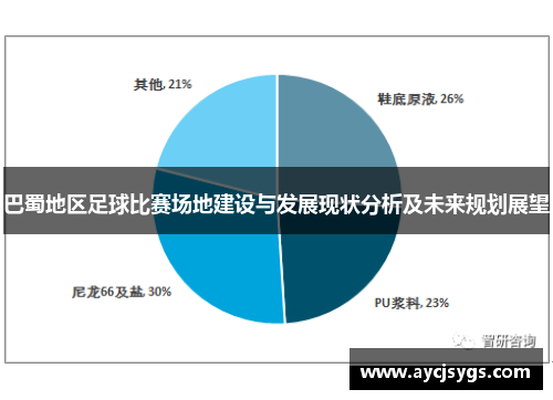 巴蜀地区足球比赛场地建设与发展现状分析及未来规划展望